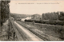 CHAMPAGNE-sur-SEINE: Vue Prise Du Château Des Pressoirs Du Roy - Très Bon état - Champagne Sur Seine