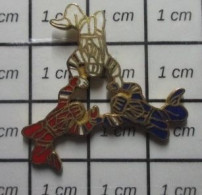 1818C Pin's Pins / Beau Et Rare / SPORTS / EQUIPE PARACHUTISTE TRICOLORE - Fallschirmspringen