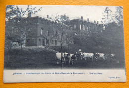 JOLIMONT  - Etablissement Des Soeurs De Notre-Dame De La Compassion - Vue Du Parc  -  1906 - La Louvière