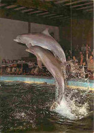 Animaux - Dauphins - CPM - Voir Scans Recto-Verso - Delfines