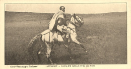 Abyssinie , éthiopie Etiopia * Cavalier Galla ( Tribu Des Nolé ) * éthnique Ethnic Ethno - Ethiopië