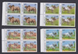 Inde India 2000 MNH Indigenous Breeds Of Cattle, Cattles, Gir, Kankrej, Hallikar, Kangayam, Cow, Block - Unused Stamps