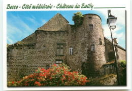 Le Chateau Du Bailly  SS 1348 - Besse Et Saint Anastaise