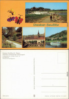 Seußlitz Nünchritz (Elbe) Anlegestelle Weißen Flotte Schlossgarten Schloss 1983 - Diesbar-Seusslitz