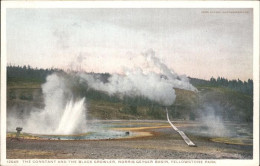 11491565 Yellowstone_National_Park Constant And Black Growler Norris Geyser Basi - Sonstige & Ohne Zuordnung