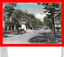 CPSM/gf (81) CARMAUX.  Avenue Albert Thomas, Coin Dulac...S2093 - Carmaux