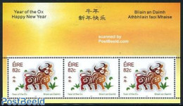 Ireland 2009 Year Of The Ox S/s, Mint NH, Nature - Various - Cattle - New Year - Unused Stamps