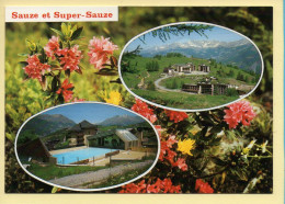 04. SAUZE Et SUPER-SAUZE – 2 Vues (voir Scan Recto/verso) - Barcelonnette