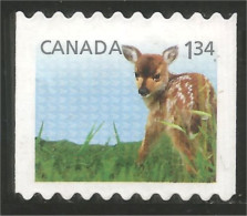 Canada Faon Fawn Kitz Reekalf Fulvo Adular Mint No Gum (13-001) - Used Stamps