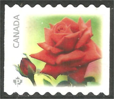 Canada Rose Fleur Flower Coil Roulette Mint No Gum (423) - Used Stamps