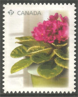 Canada African Violet Violette Africaine Mint No Gum (363a) - Usati