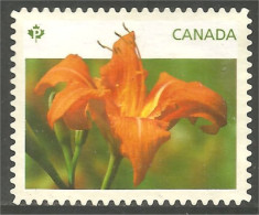 Canada Daylilies Daylily Hémérocalles Orange Mint No Gum (366a) - Used Stamps