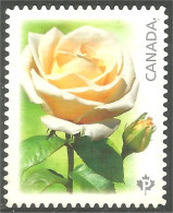 Canada Yellow Rose Jaune Mint No Gum (361a) - Usati