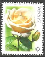 Canada Fleur Flower Rose Mint No Gum (164) - Gebruikt