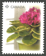 Canada Fleur Flower Mint No Gum (165) - Usati