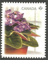 Canada Fleur Flower Mint No Gum (163) - Gebraucht