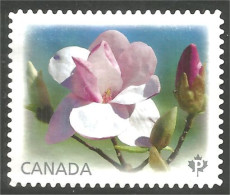 Canada Fleur Flower Rose Mint No Gum (156) - Usati