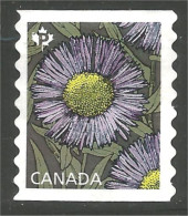 Canada Fleur Flower Mint No Gum (128) - Gebraucht