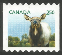 Canada Elan Orignal Moose Mint No Gum (123) - Usati