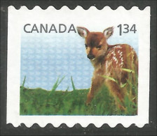 Canada Chevreuil Deer Daim Faon Fawn Mint No Gum (118) - Gebruikt