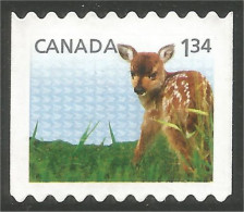 Canada Chevreuil Deer Daim Faon Fawn Mint No Gum (116) - Usati