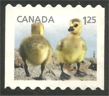 Canada Canard Duck Ente Pato Mint No Gum (108) - Gebraucht