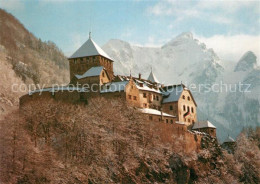 72986613 Liechtenstein  Schloss Vaduz   - Liechtenstein