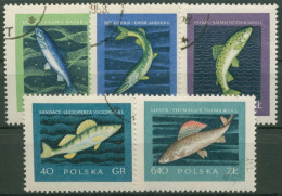 Polen 1958 Tiere Fische Zander Lachs Hecht Forelle 1051/55 Gestempelt - Oblitérés