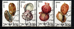 ISRAELE - 1977 - CONCHIGLIE DEL MAR ROSSO - USATI - Gebraucht (ohne Tabs)