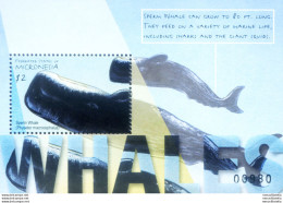 Fauna. Balene 2001. - Micronesië