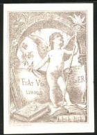 Exlibris Fiat Vir, Engel Mit Fackel Und Blumen  - Ex Libris