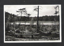 OMMEN - Meertjes "Eerde" Bij Ommen (NL 10336) - Ommen