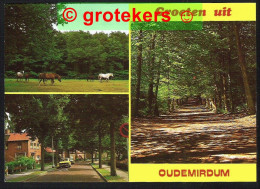 OUDEMIRDUM Groeten Uit 3-luik Ca 1978 - Sonstige & Ohne Zuordnung