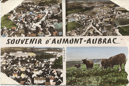 X113074 LOZERE AUMONT AUBRAC SOUVENIR MULTIVUES VUE GENERALE ARIENNE TROUPEAU VUES GENERALES VUES D'  AVION - Aumont Aubrac