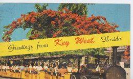 USAFL 01 02#0 - KEY WEST - MULTIVUES (POINCIANA, CONCH TOUR TRAIN) - Key West & The Keys