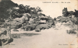 77-LARCHANT-N°T5268-E/0189 - Larchant