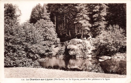 43-LE CHAMBON SUR LIGNON-N°T5268-C/0215 - Le Chambon-sur-Lignon