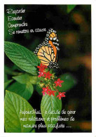 Animaux - Papillons - Fleurs - CPM - Voir Scans Recto-Verso - Papillons