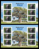 TOGO 2024 MS 6V IMPERF - REGULAR & OVERPRINT - CHIMPANZEE MONKEY MONKEYS APES - BIODIVERSITY BIODIVERSITE - MNH - Schimpansen