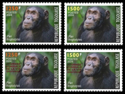 TOGO 2024 SET 4V - REGULAR & OVERPRINT - CHIMPANZEE MONKEY MONKEYS APES - BIODIVERSITY BIODIVERSITE - MNH - Chimpanzés