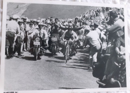 CYCLISME  -  FOTO HET LAATSTE NIEUWS  -  EDDY MERCKX  -  35 X 25  - - Cycling