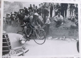 CYCLISME  -  FOTO HET LAATSTE NIEUWS  -  FAUSTO COPPI  -  35 X 25  - - Wielrennen