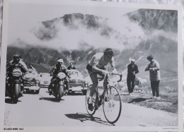 CYCLISME  -  FOTO HET LAATSTE NIEUWS  -  JACQUES ANQUETIL  -  35 X 25  - - Cycling