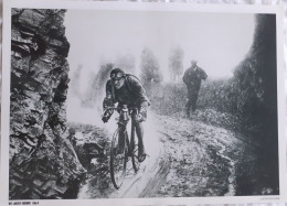 CYCLISME  -  FOTO HET LAATSTE NIEUWS  -  LUCIEN BUYSSE  -  35 X 25  - - Cyclisme