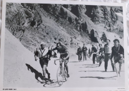 CYCLISME  -  FOTO HET LAATSTE NIEUWS  -  GINO BARTALI  -  35 X 25  - - Ciclismo