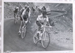 CYCLISME  -  FOTO HET LAATSTE NIEUWS  -  TOM SIMPSON  -  35 X 25  - - Cyclisme