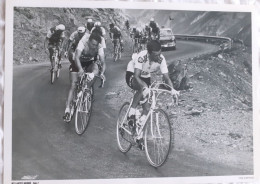 CYCLISME  -  FOTO HET LAATSTE NIEUWS  -  TOM SIMPSON  -  35 X 25  - - Wielrennen