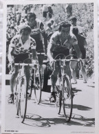 CYCLISME  -  FOTO HET LAATSTE NIEUWS  -  LUCIEN VAN IMPE & BERNARD HINAULT  -  35 X 25  - - Cyclisme