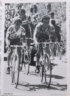 CYCLISME  -  FOTO HET LAATSTE NIEUWS  -  LUCIEN VAN IMPE & BERNARD HINAULT  -  35 X 25  - - Wielrennen