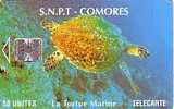 COMORES TORTUE DE MER SUPERBE ANCIENNE CARTE - Schildkröten